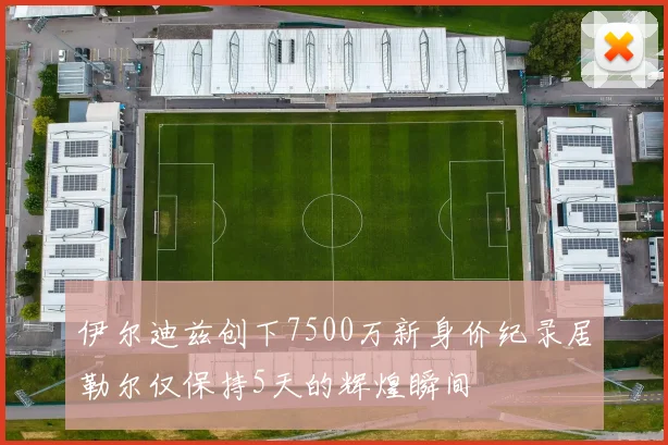 伊尔迪兹创下7500万新身价纪录居勒尔仅保持5天的辉煌瞬间