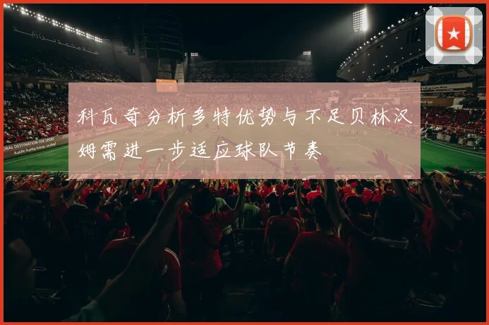 科瓦奇分析多特优势与不足贝林汉姆需进一步适应球队节奏