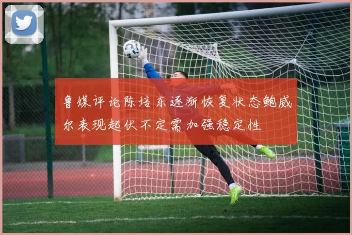 鲁媒评论陈培东逐渐恢复状态鲍威尔表现起伏不定需加强稳定性